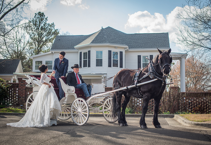 Horse and Carriage in front of The Matthews House Cary